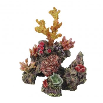 HAQUOSS REEF DREAM 7 - 12,5x12x16,5h cm